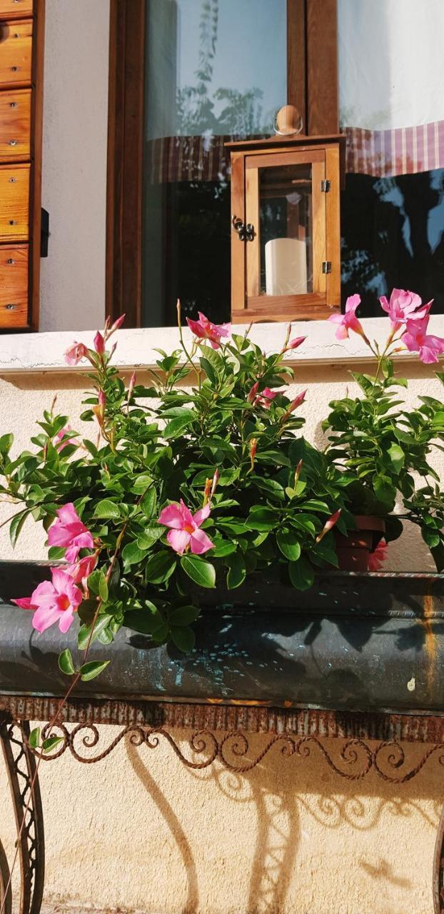 B&B Alte Paderno del Grappa Exterior photo